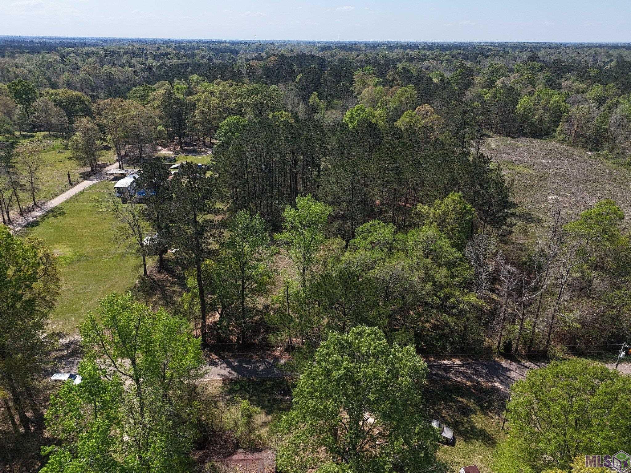 0 Breland Road South Bogalusa, LA 70427 - Photo 4 of 22
