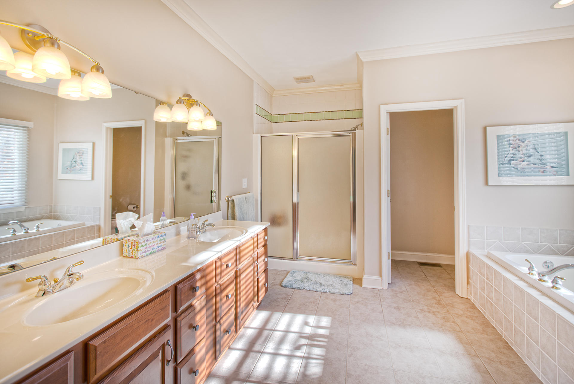 105 Cobblestone Drive Blue Ridge, VA 24064 - Photo 10 of 28 Master bath