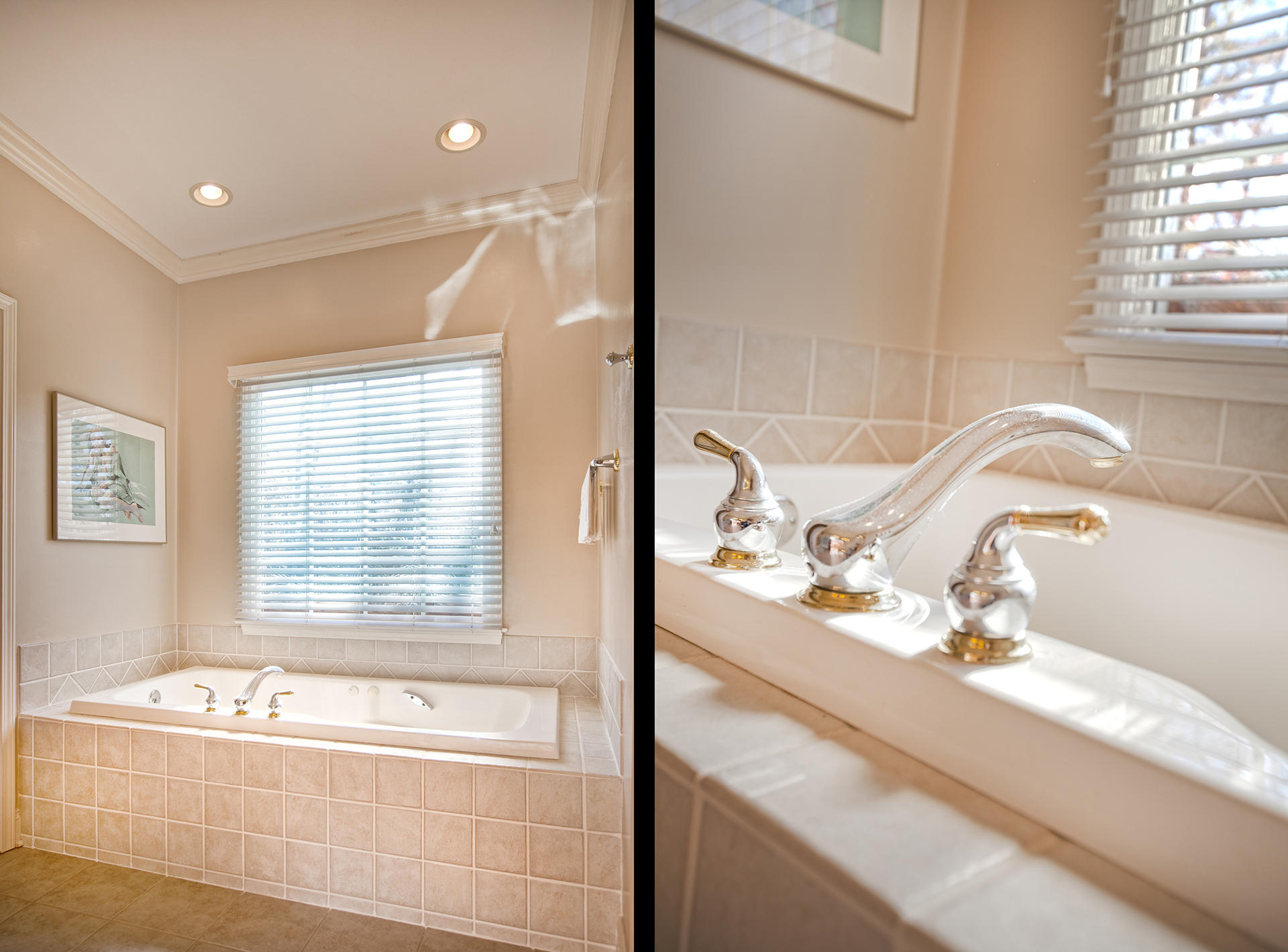 105 Cobblestone Drive Blue Ridge, VA 24064 - Photo 9 of 28 Master bath