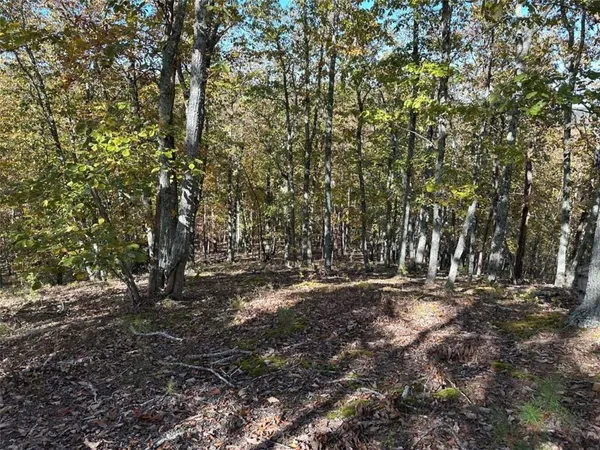 a view of dirt yard with a tree