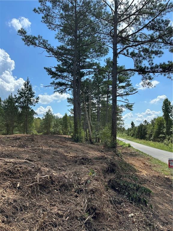 2 Culp Lake Road Cedartown, GA 30125 - Photo 5 of 8 a view of a yard with large trees