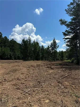 a view of a field with trees in the background