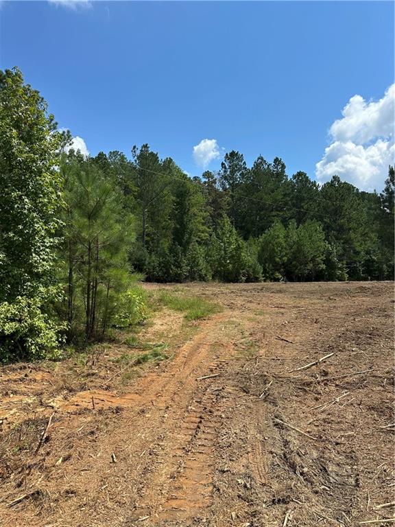 2 Culp Lake Road Cedartown, GA 30125 - Photo 7 of 8 a view of a field with trees in the background