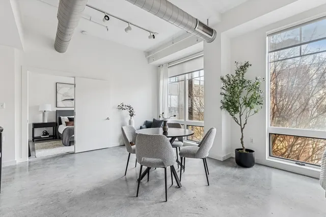 a view of a livingroom with furniture and a potted plant