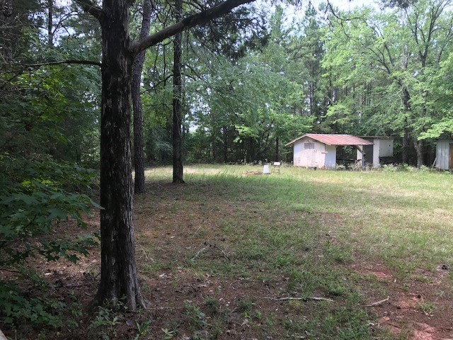 656 Key Road Modoc, SC 29838 - Photo 4 of 16