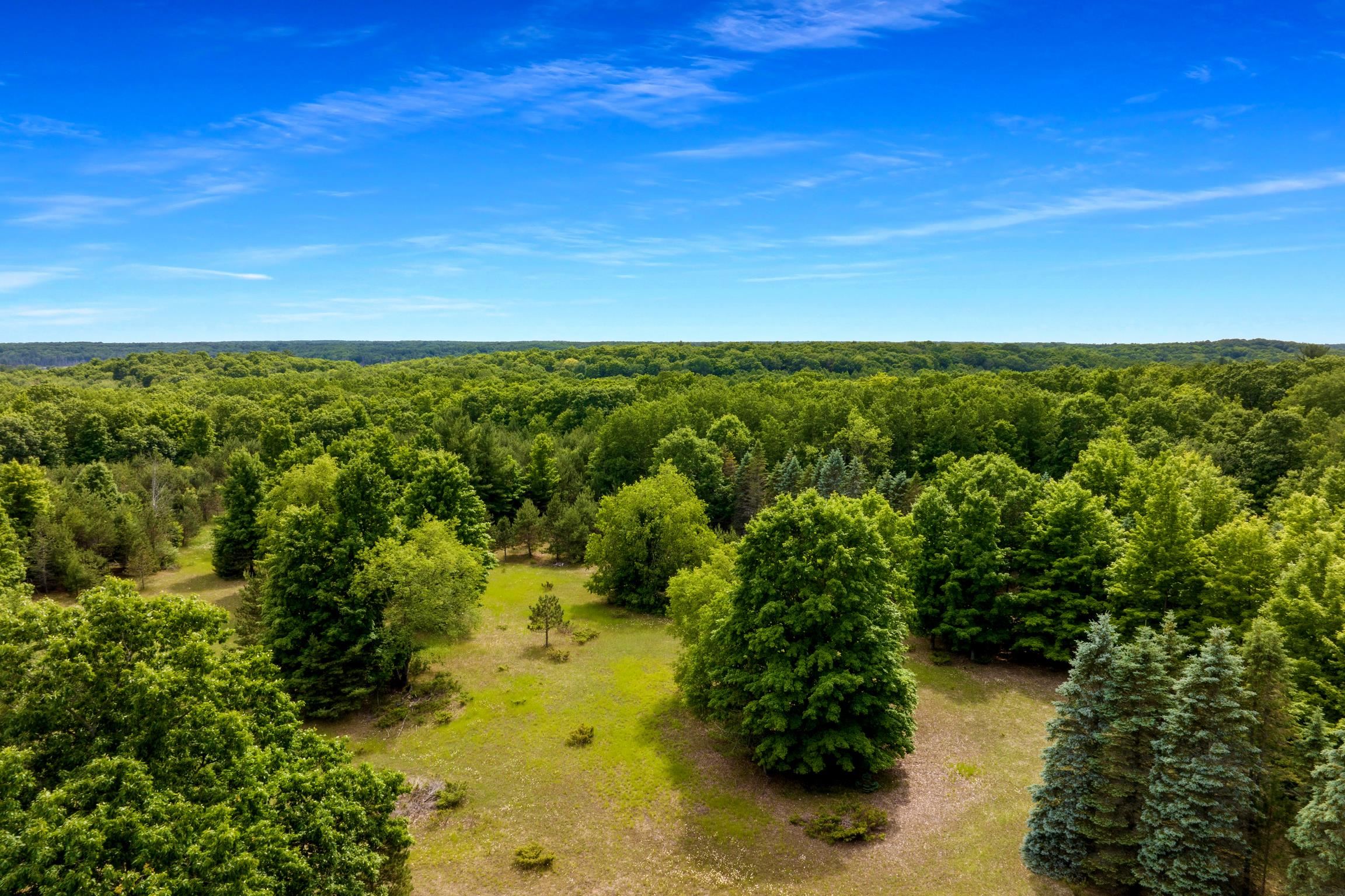 0 Pettengill Road Empire, MI 49630 - Photo 11 of 14
