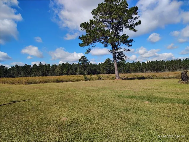 $235,000 | 25260 Seven Mile Road, Angie, LA 70426