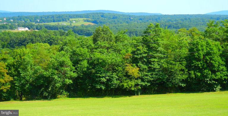 1221 Hollow Road Gore, VA 22637 - Photo 7 of 27 Western View towards West Virginia