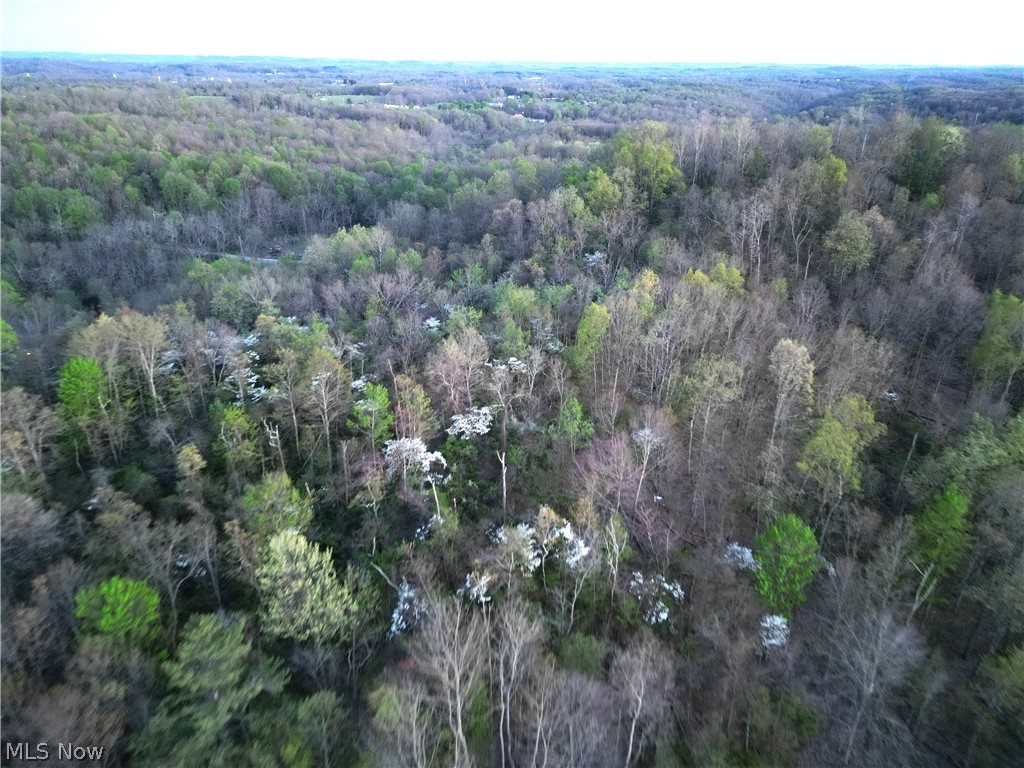 Zane Road Lore City, OH 43755 - Photo 6 of 13