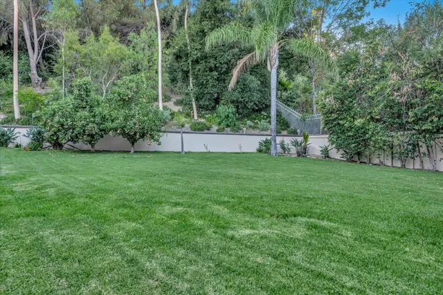 a view of a backyard with large trees