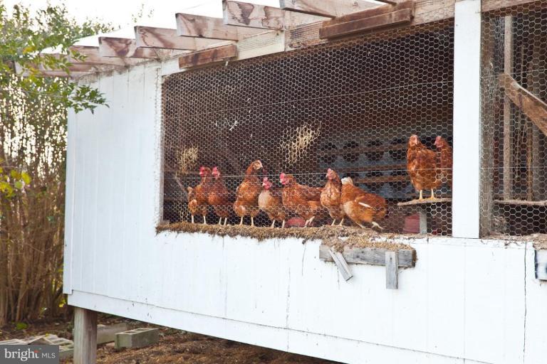 807 Reckord Road Fallston, MD 21047 - Photo 24 of 30 Chicken Coop