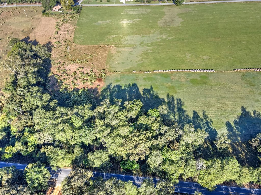 Lot 9 Cooks Bridge Road Aiken, SC 29805 - Photo 9 of 14
