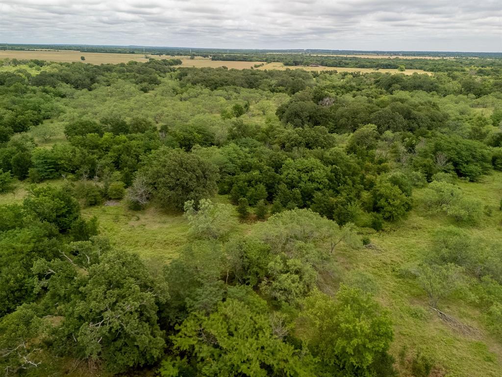 159 Riesel Tx 76682 Riesel, TX 76682 - Photo 25 of 34 a view of a yard