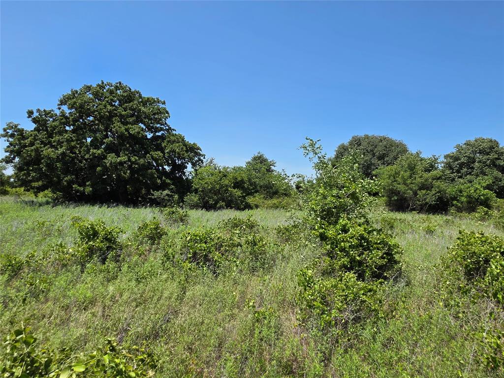 1000 County Road 375 Rising Star, TX 76471 - Photo 28 of 40