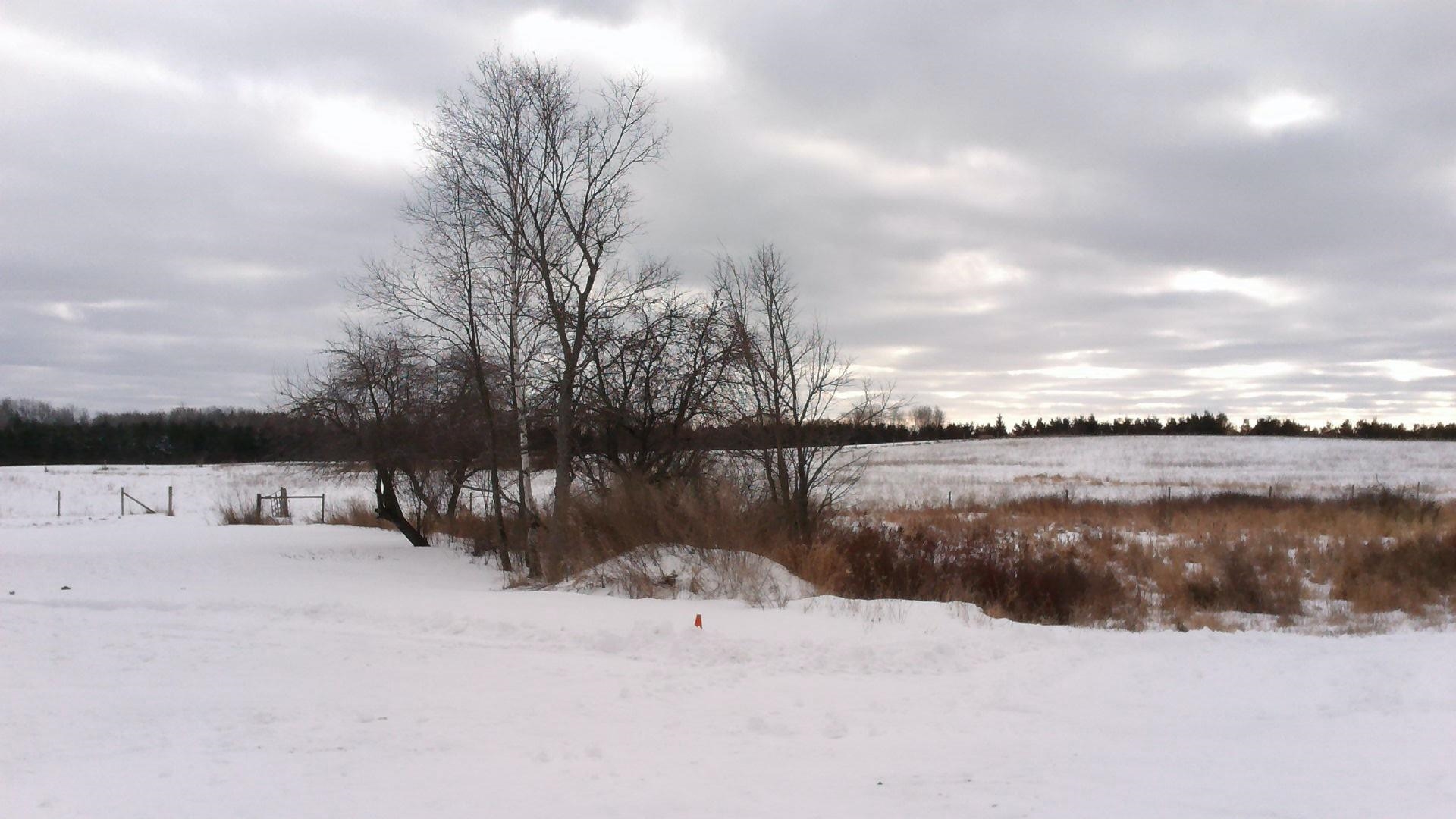 3805 Renas Road Gladwin, MI 48624 - Photo 13 of 74