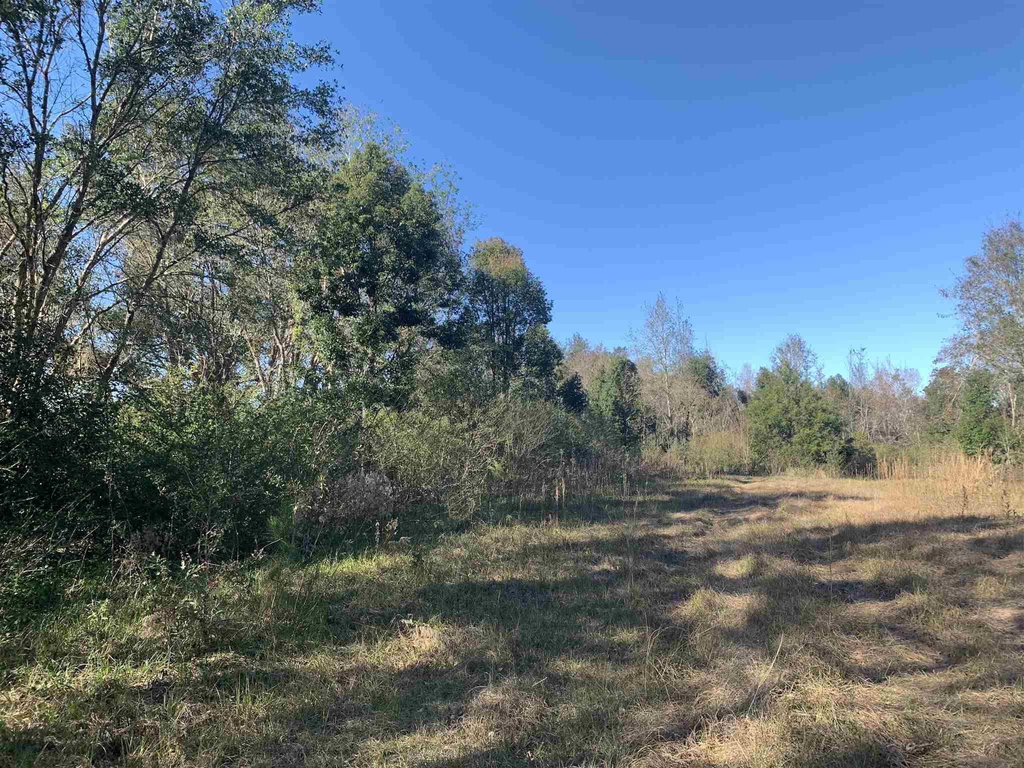 10260 County Road 32 Fairhope, AL 36532 - Photo 17 of 24