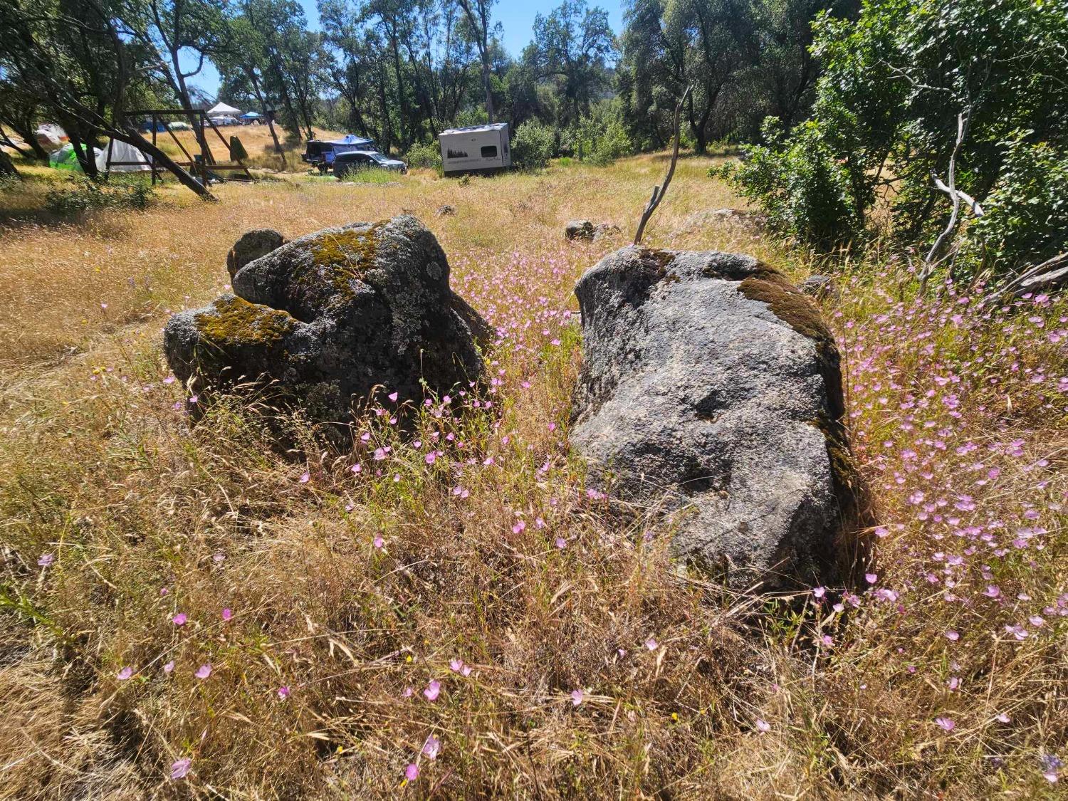 0 Ashworth Road Mariposa, CA 95338 - Photo 11 of 22 Gallery Image 11
