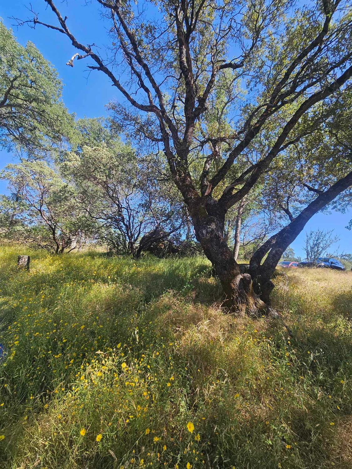 0 Ashworth Road Mariposa, CA 95338 - Photo 15 of 22 Gallery Image 15