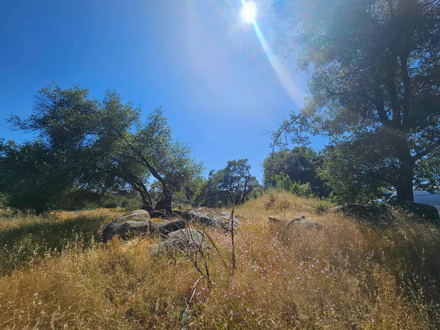 0 Ashworth Road Mariposa, CA 95338 - Photo 18 of 22 Gallery Image 18