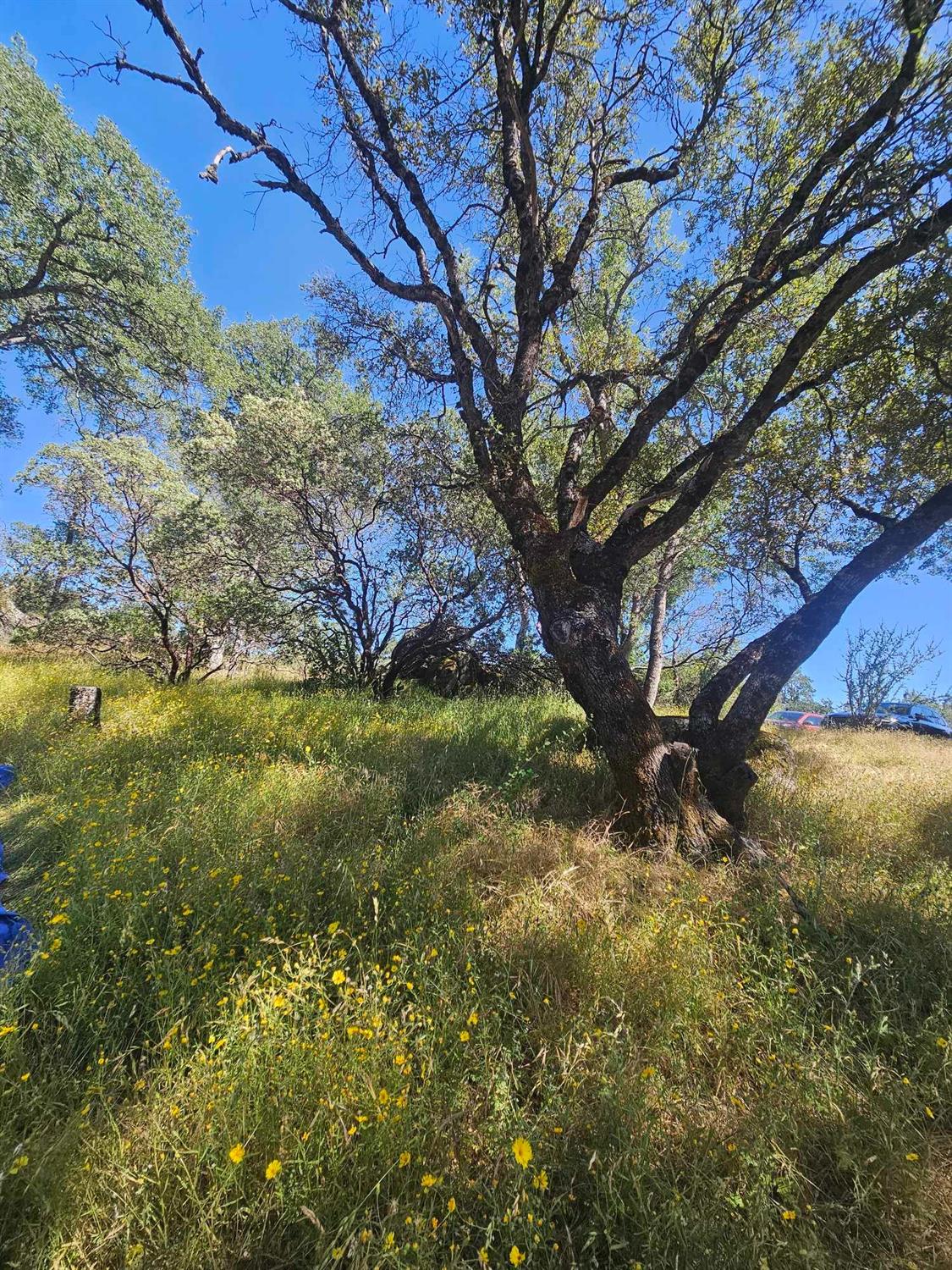 0 Ashworth Road Mariposa, CA 95338 - Photo 22 of 22 Gallery Image 22