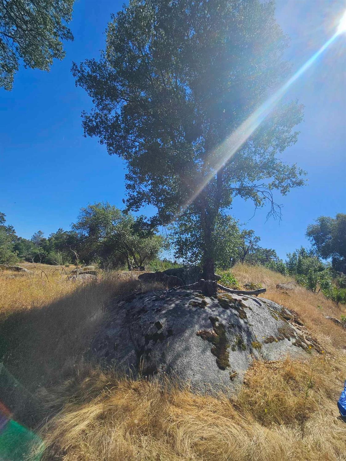 0 Ashworth Road Mariposa, CA 95338 - Photo 5 of 22 Gallery Image 5