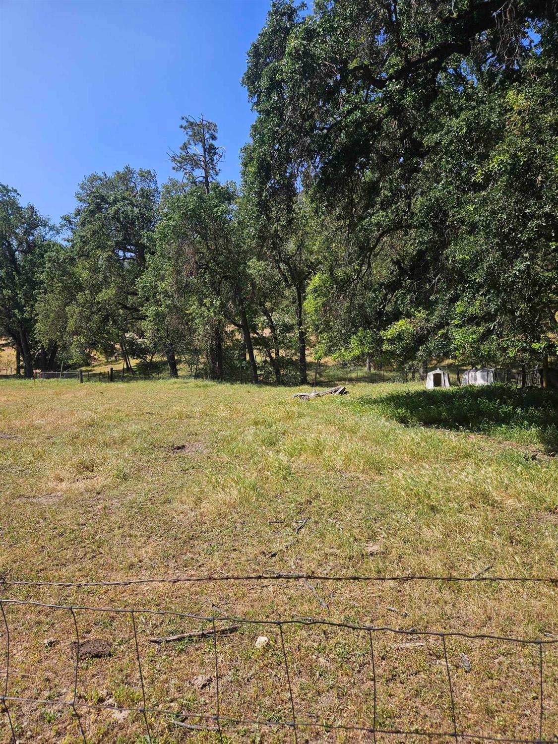0 Ashworth Road Mariposa, CA 95338 - Photo 6 of 22 Gallery Image 6