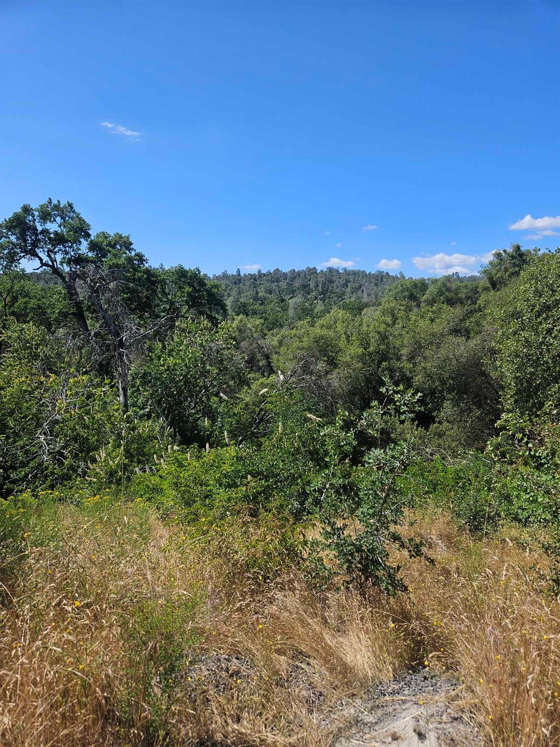 0 Ashworth Road Mariposa, CA 95338 - Photo 7 of 22 Gallery Image 7