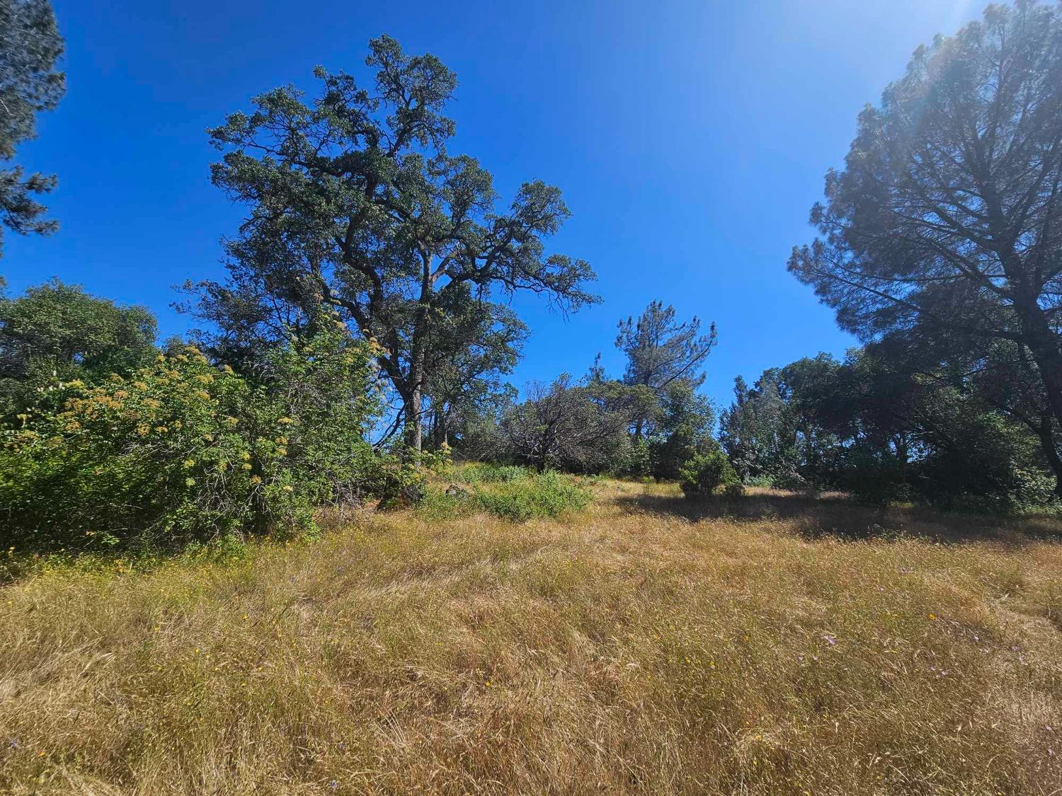 0 Ashworth Road Mariposa, CA 95338 - Photo 9 of 22 Gallery Image 9