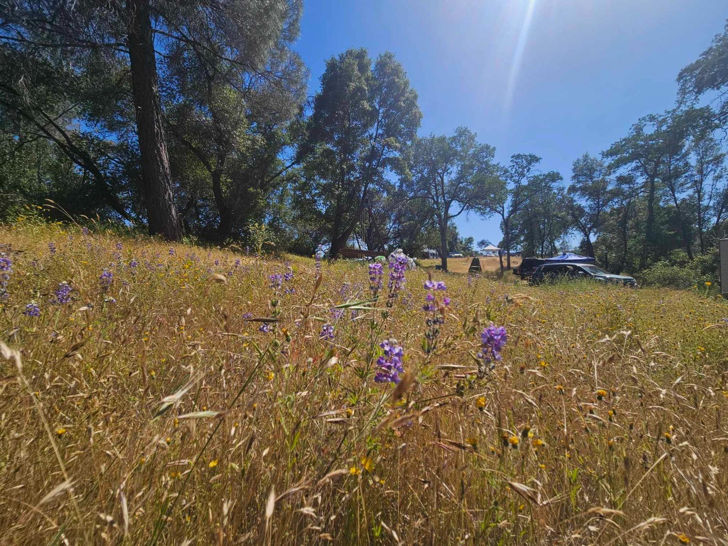 0 Ashworth Road Mariposa, CA 95338 - Photo 10 of 22 Gallery Image 10