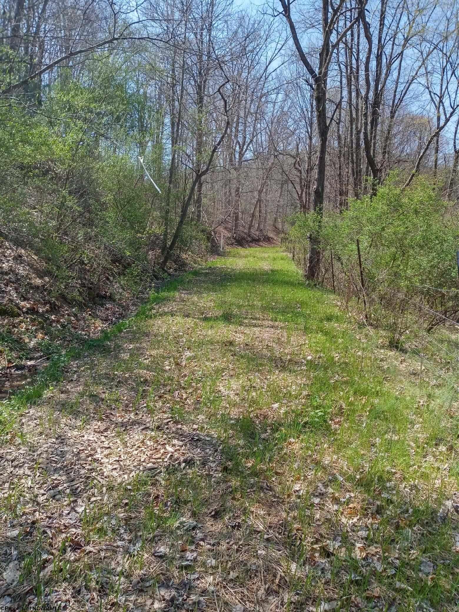 Tbd Buffalo Brink Road Mannington, WV 26582 - Photo 5 of 6 Gallery Image 5