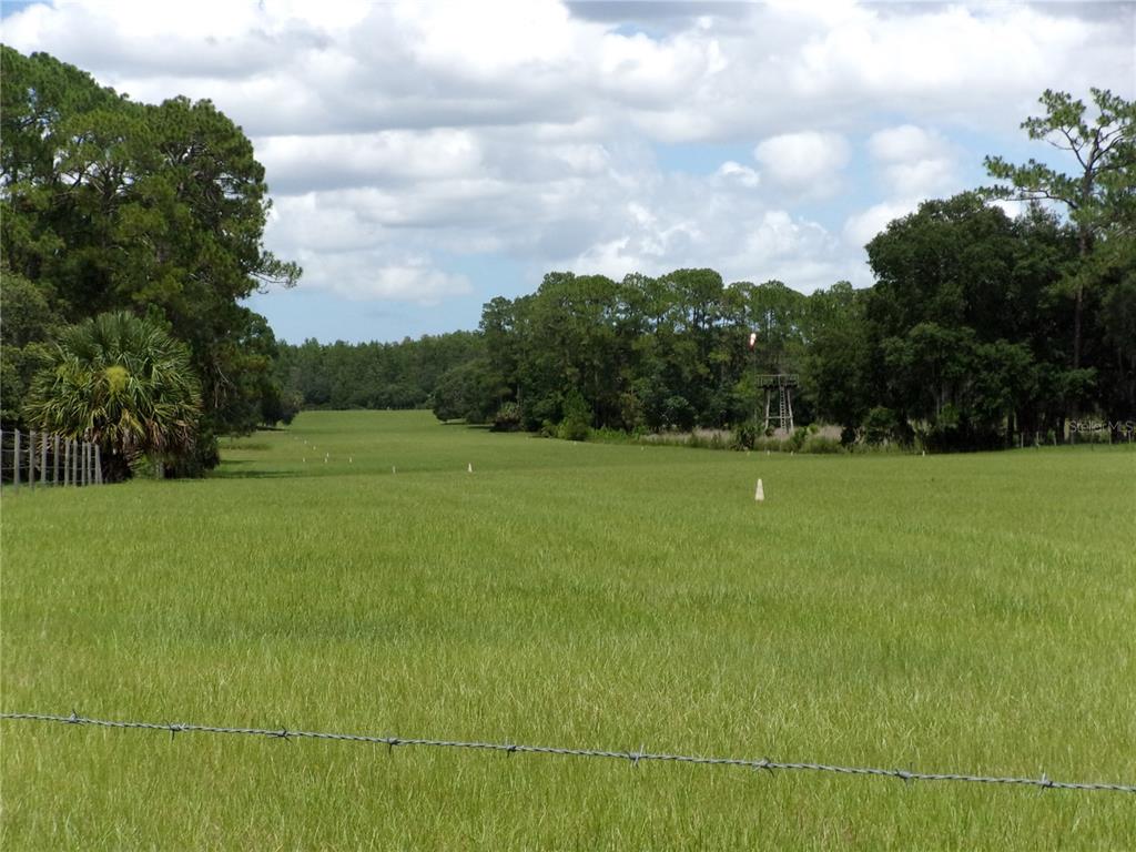 Deep Woods Road DeLand, FL 32720 - Photo 12 of 64