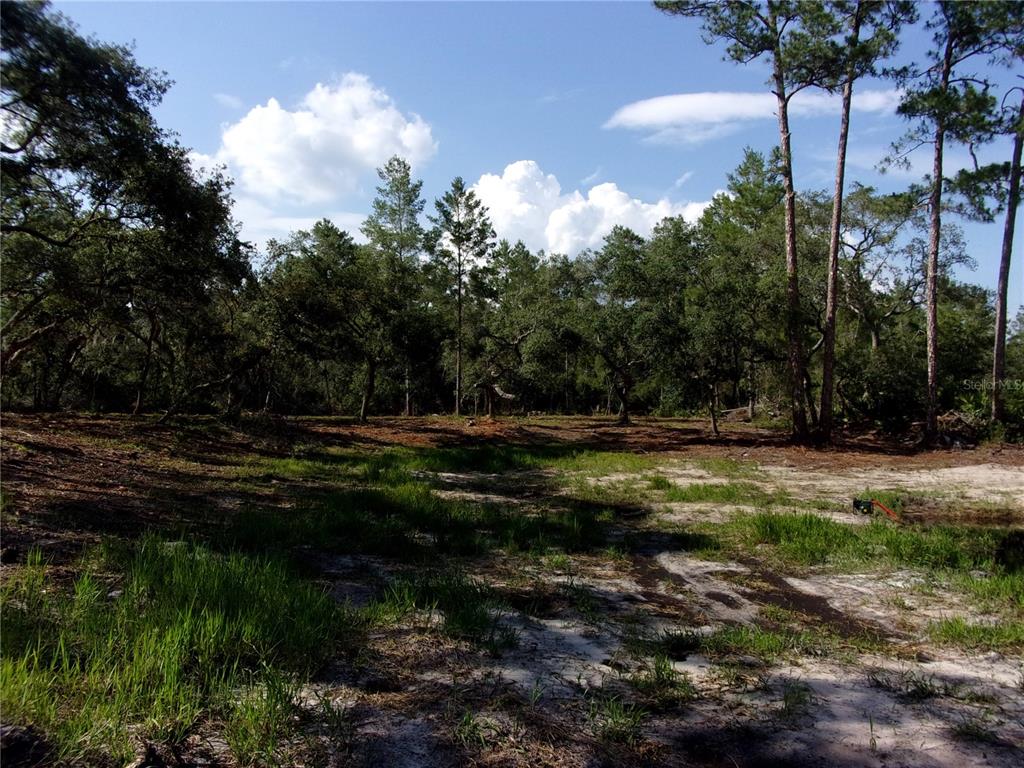 Deep Woods Road DeLand, FL 32720 - Photo 14 of 64