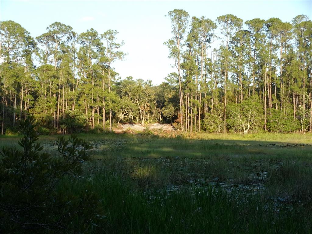 Deep Woods Road DeLand, FL 32720 - Photo 15 of 64