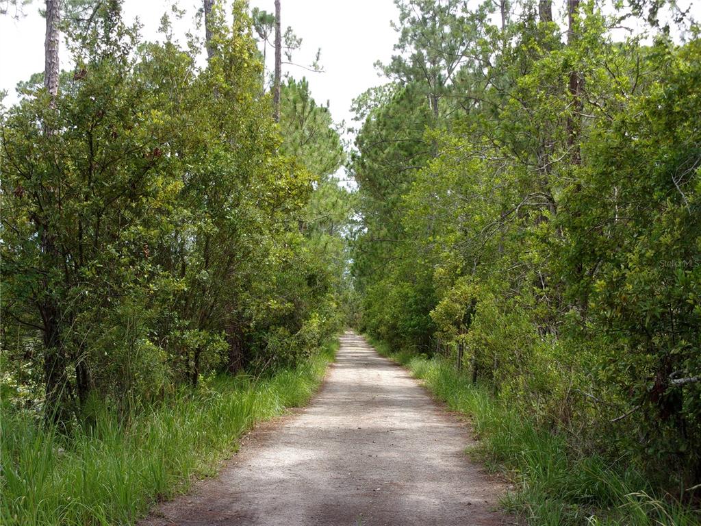 Deep Woods Road DeLand, FL 32720 - Photo 16 of 64