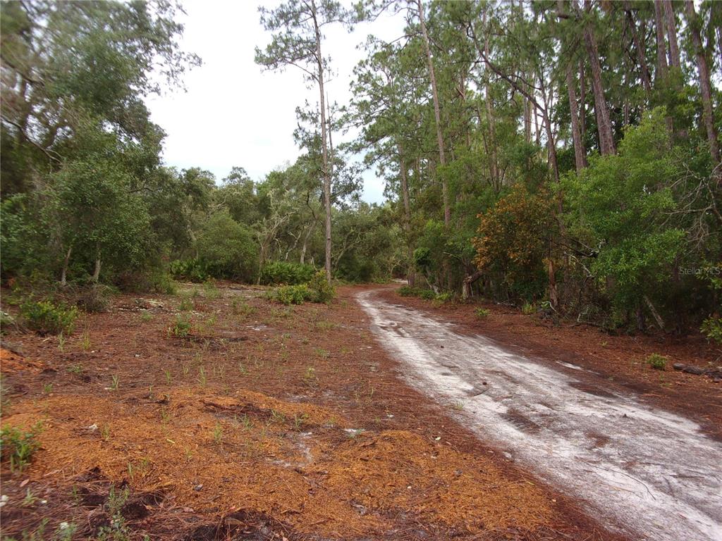 Deep Woods Road DeLand, FL 32720 - Photo 17 of 64