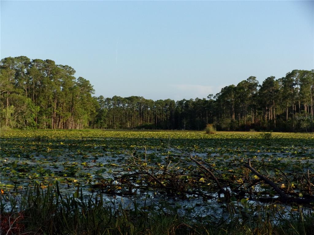 Deep Woods Road DeLand, FL 32720 - Photo 24 of 64