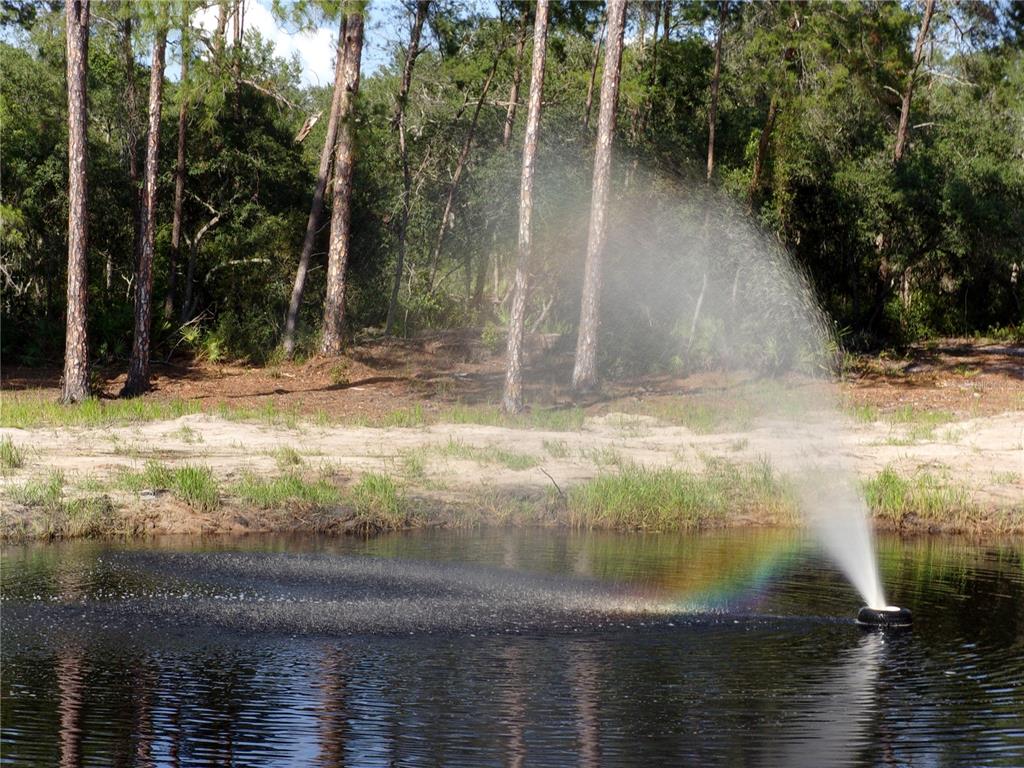Deep Woods Road DeLand, FL 32720 - Photo 26 of 64