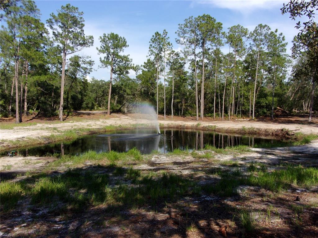 Deep Woods Road DeLand, FL 32720 - Photo 27 of 64
