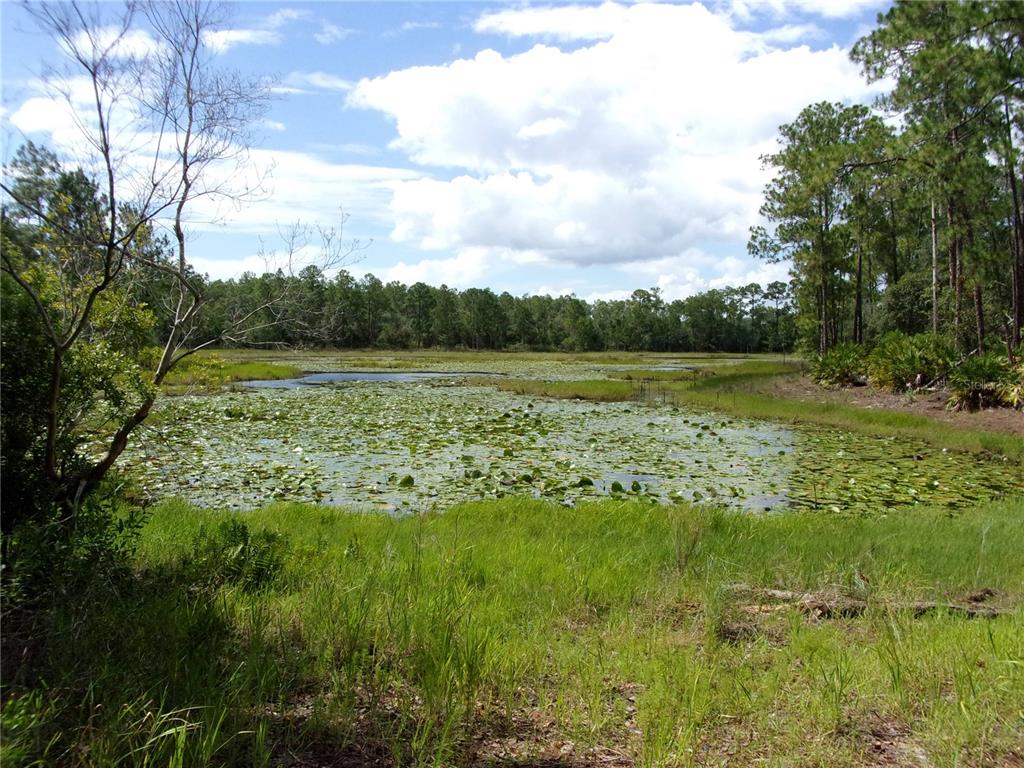 Deep Woods Road DeLand, FL 32720 - Photo 29 of 64