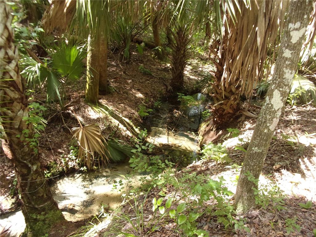 Deep Woods Road DeLand, FL 32720 - Photo 30 of 64