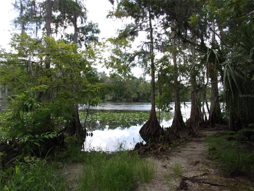Deep Woods Road DeLand, FL 32720 - Photo 31 of 64