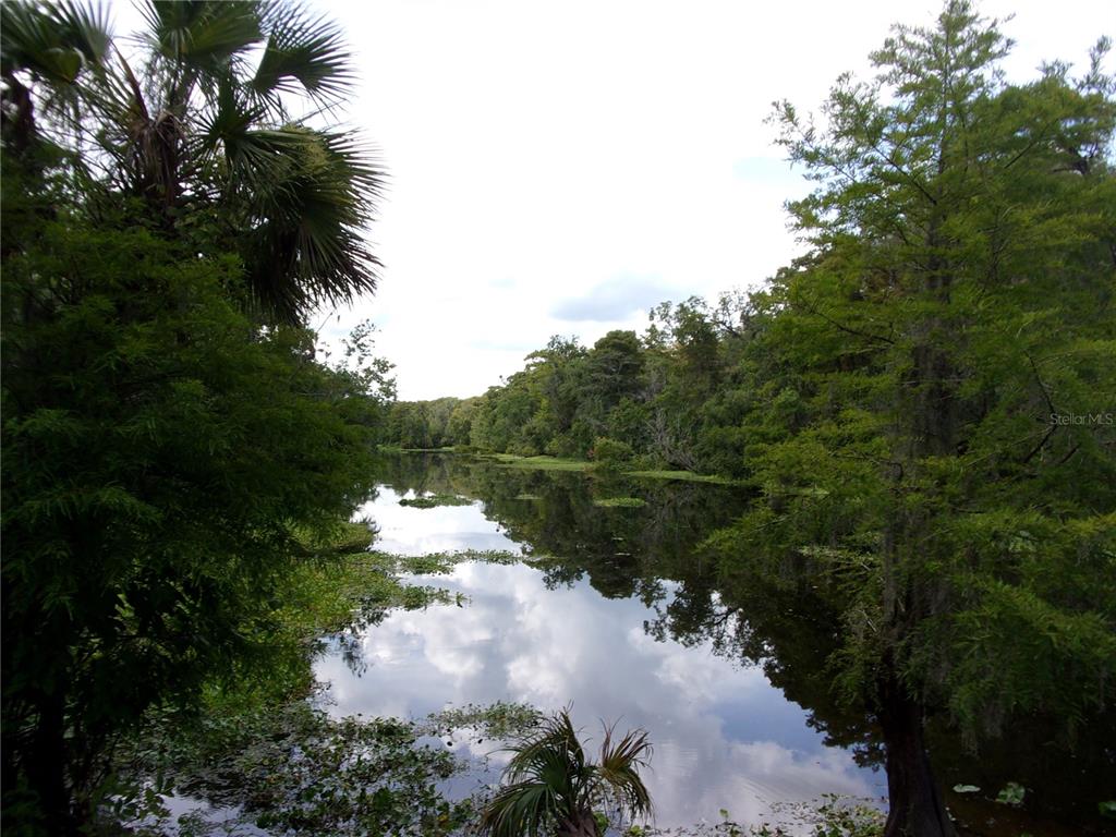 Deep Woods Road DeLand, FL 32720 - Photo 32 of 64