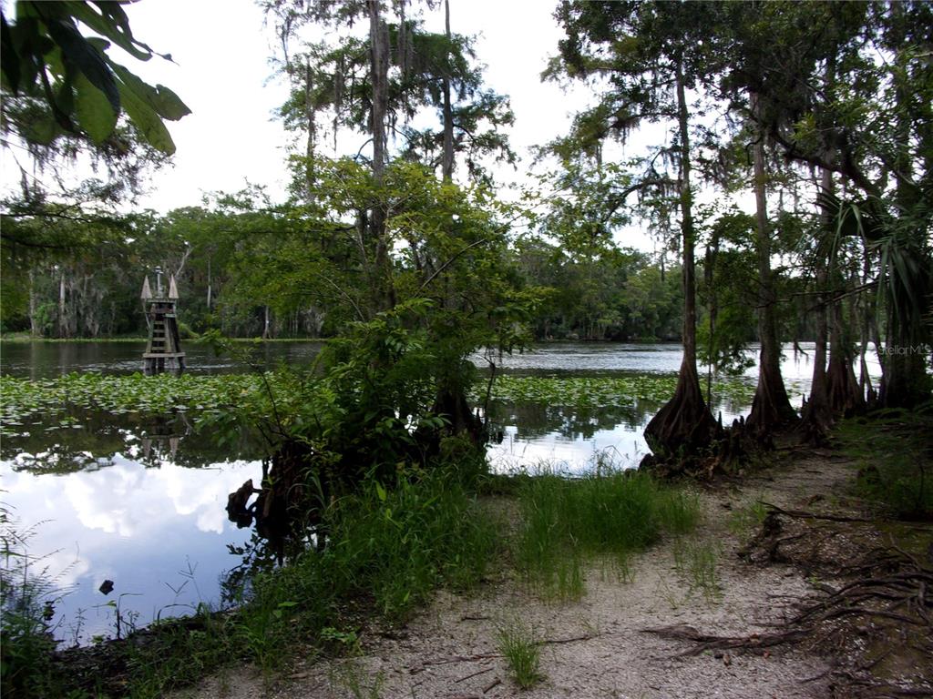 Deep Woods Road DeLand, FL 32720 - Photo 33 of 64