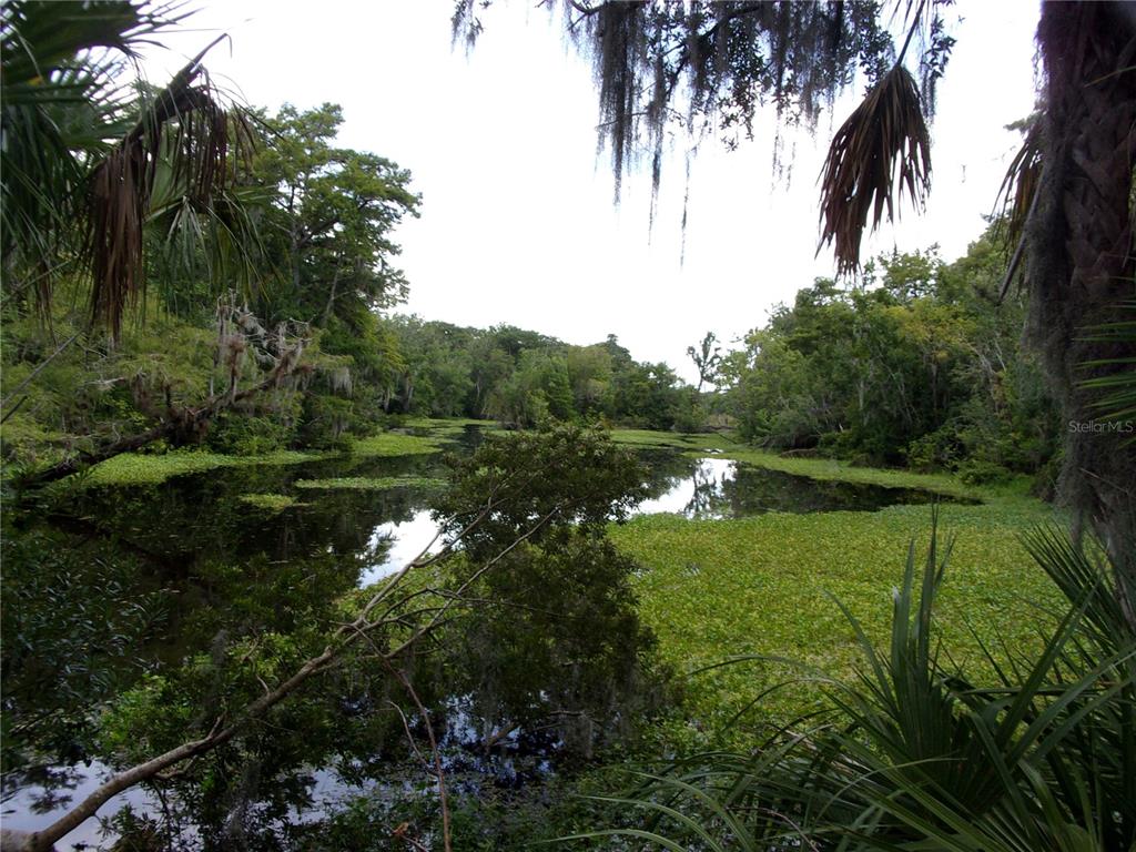 Deep Woods Road DeLand, FL 32720 - Photo 34 of 64