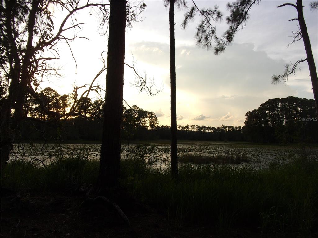 Deep Woods Road DeLand, FL 32720 - Photo 36 of 64