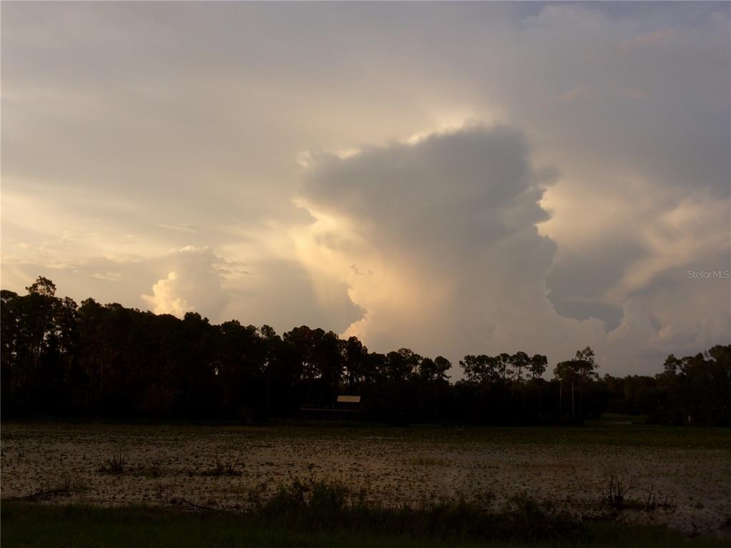 Deep Woods Road DeLand, FL 32720 - Photo 37 of 64