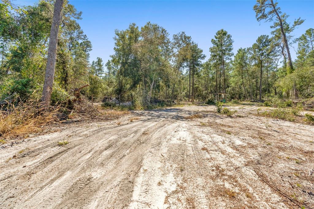 Deep Woods Road DeLand, FL 32720 - Photo 43 of 64