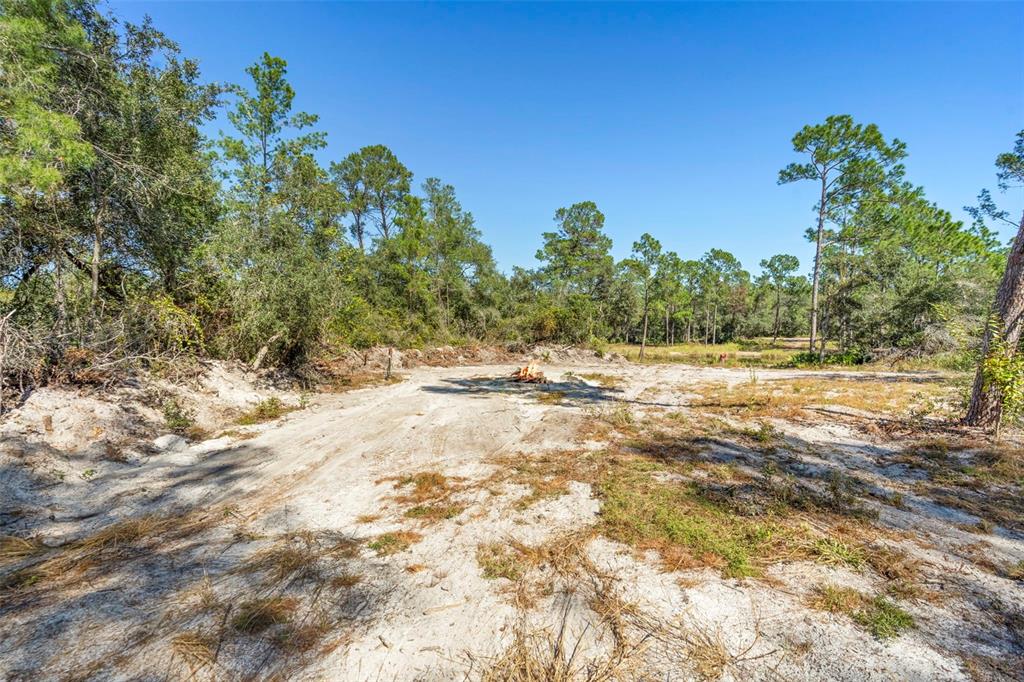 Deep Woods Road DeLand, FL 32720 - Photo 46 of 64