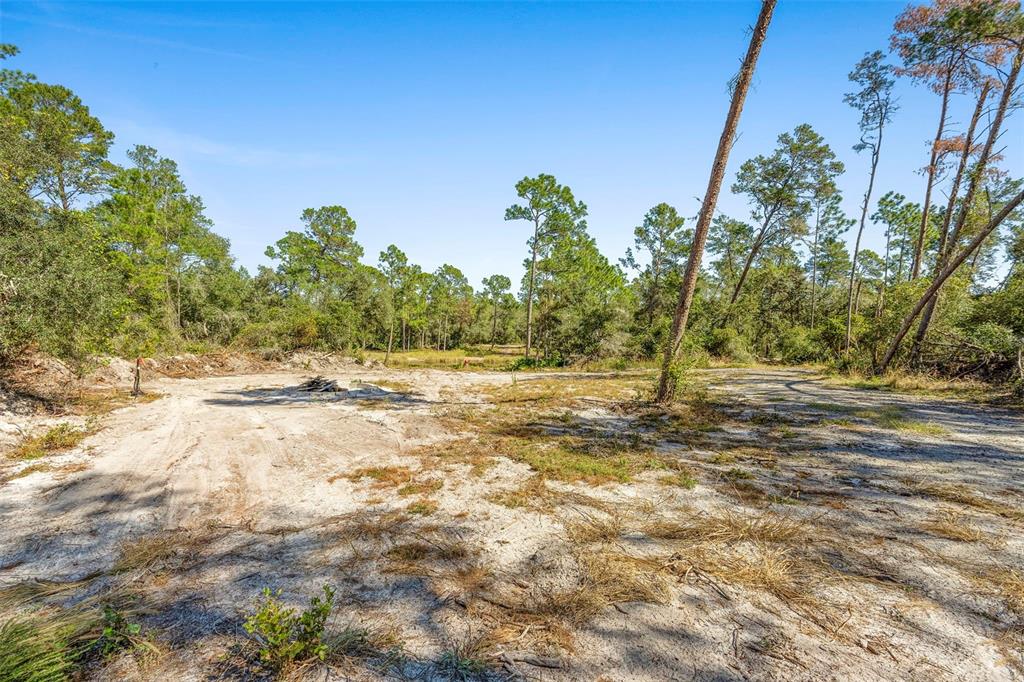 Deep Woods Road DeLand, FL 32720 - Photo 49 of 64