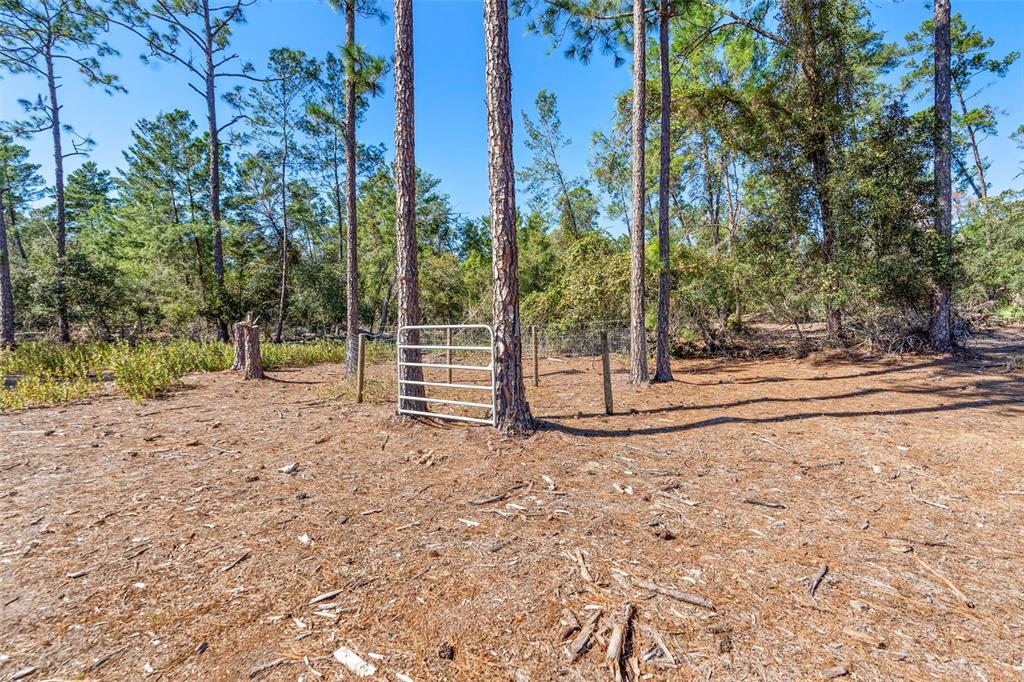 Deep Woods Road DeLand, FL 32720 - Photo 52 of 64